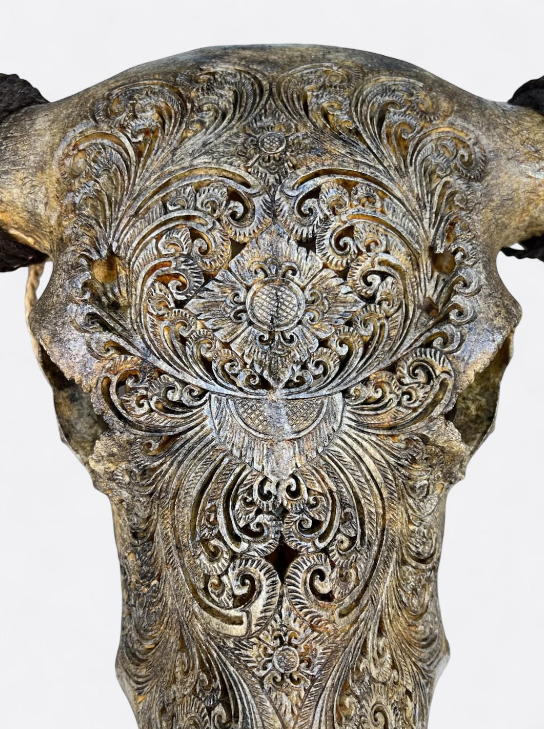 Crâne de buffle artisanal marron avec gravures florales – décoration murale