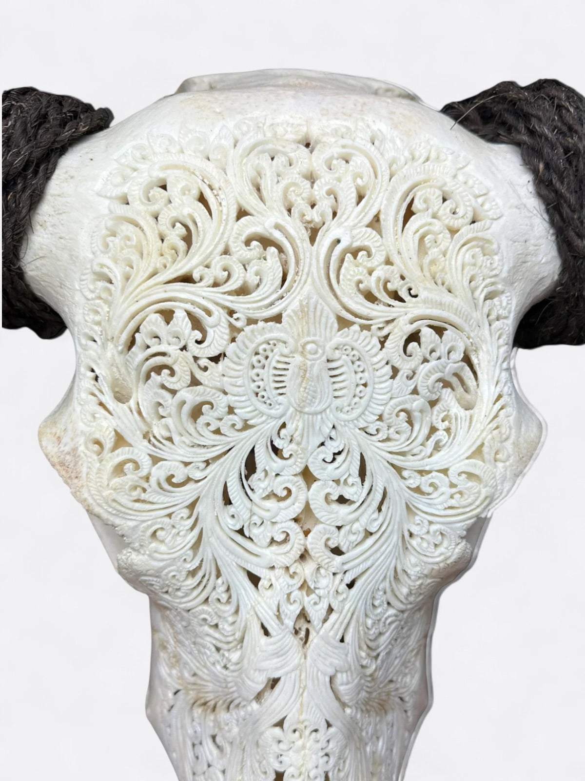 Crâne de buffle décoratif en cornes véritables avec sculpture abeille – Bali