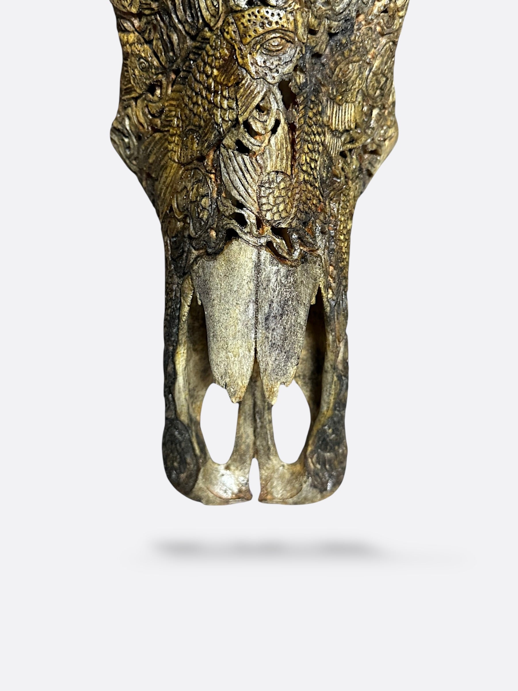 Détail de la gravure de carpes koï sur le crâne de buffle Bilih Koi