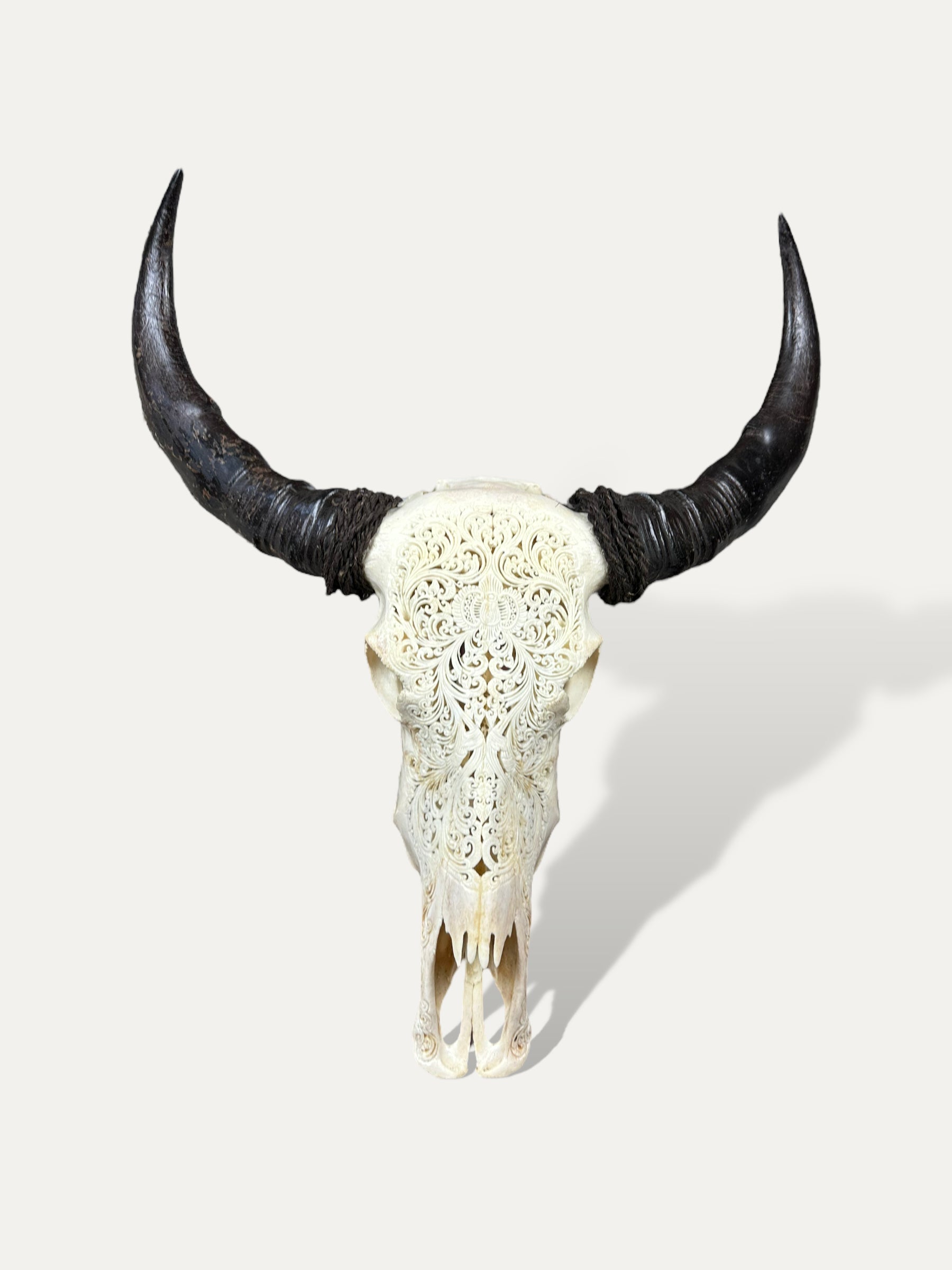 COKOHA Crâne de buffle sculpté - Lebah