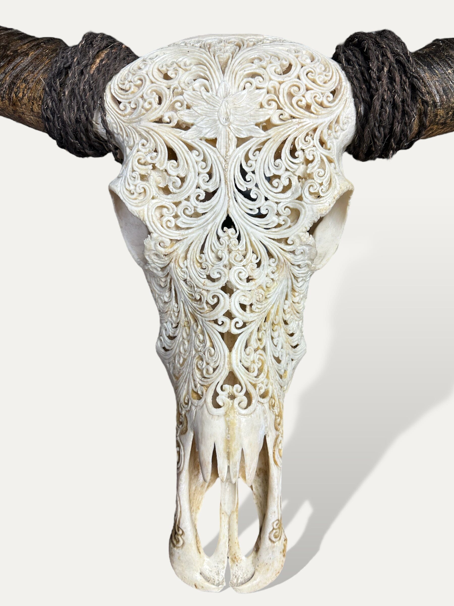 Crâne de buffle sculpté - Padma Cokoha 