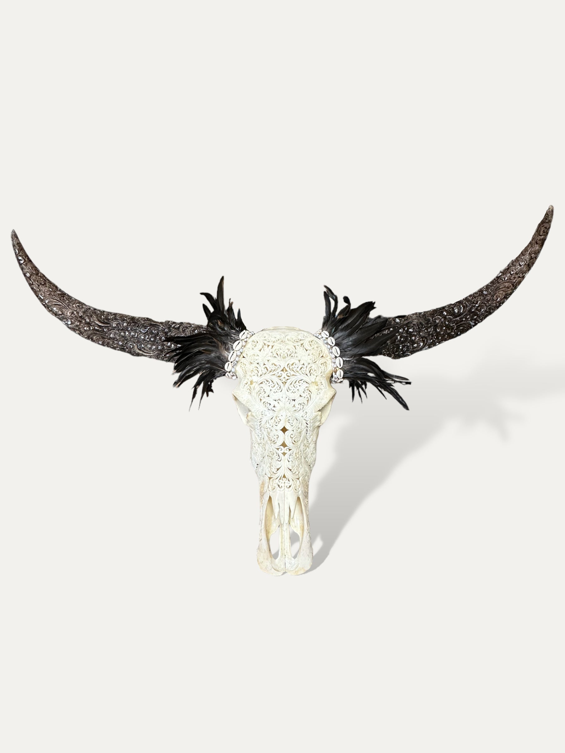 COKOHA - Crâne de buffle sculpté XL - Symphonie