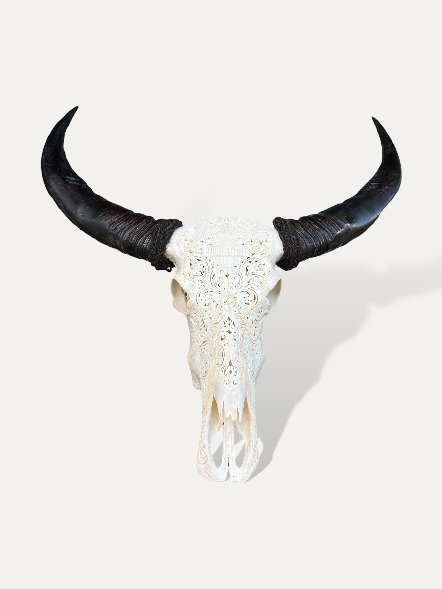 COKOHA - Crâne de buffle sculpté XL - Thunder