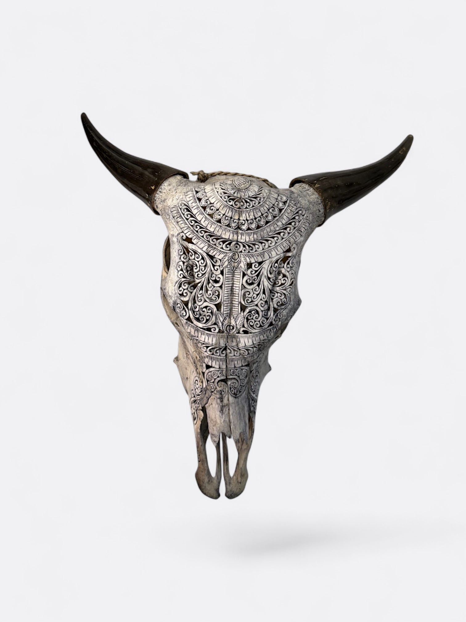 Crâne de vache gris sculpté à la main – Grey Shaman