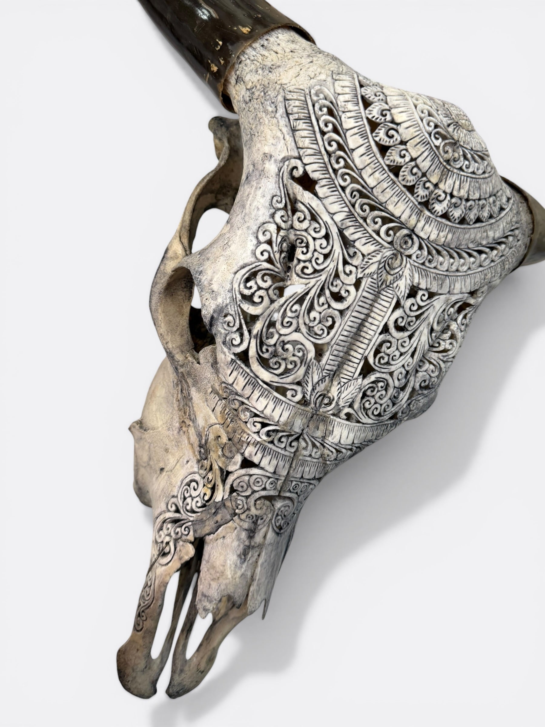 Détail de la patine grise du crâne de vache Grey Shaman