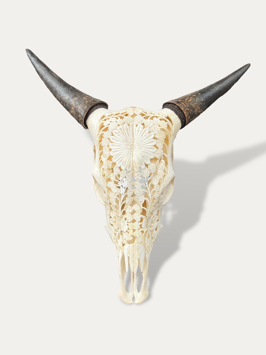 COKOHA - Crâne de vache sculpté - Sapi