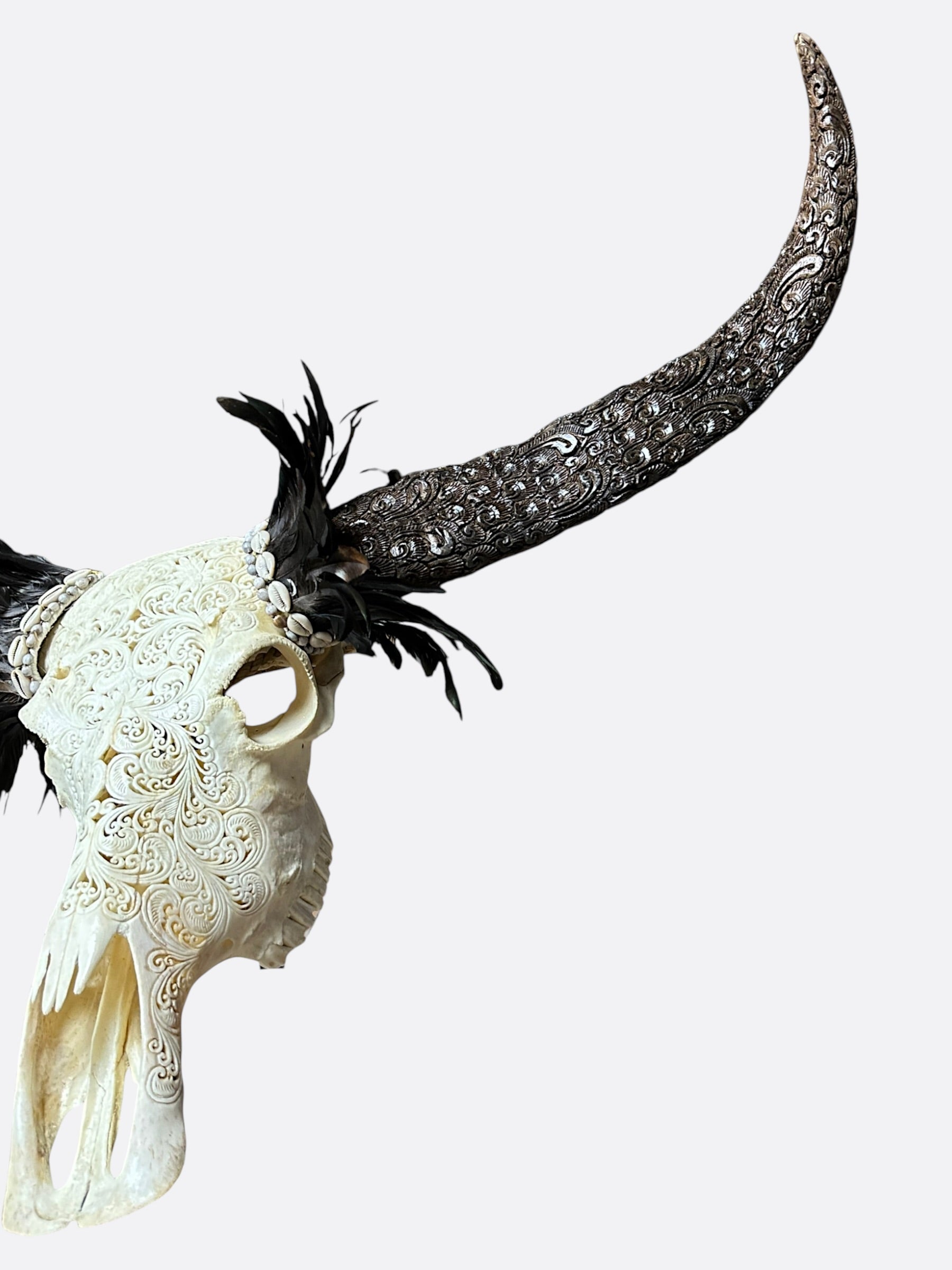 Crâne de buffle sculpté XL - Symphonie