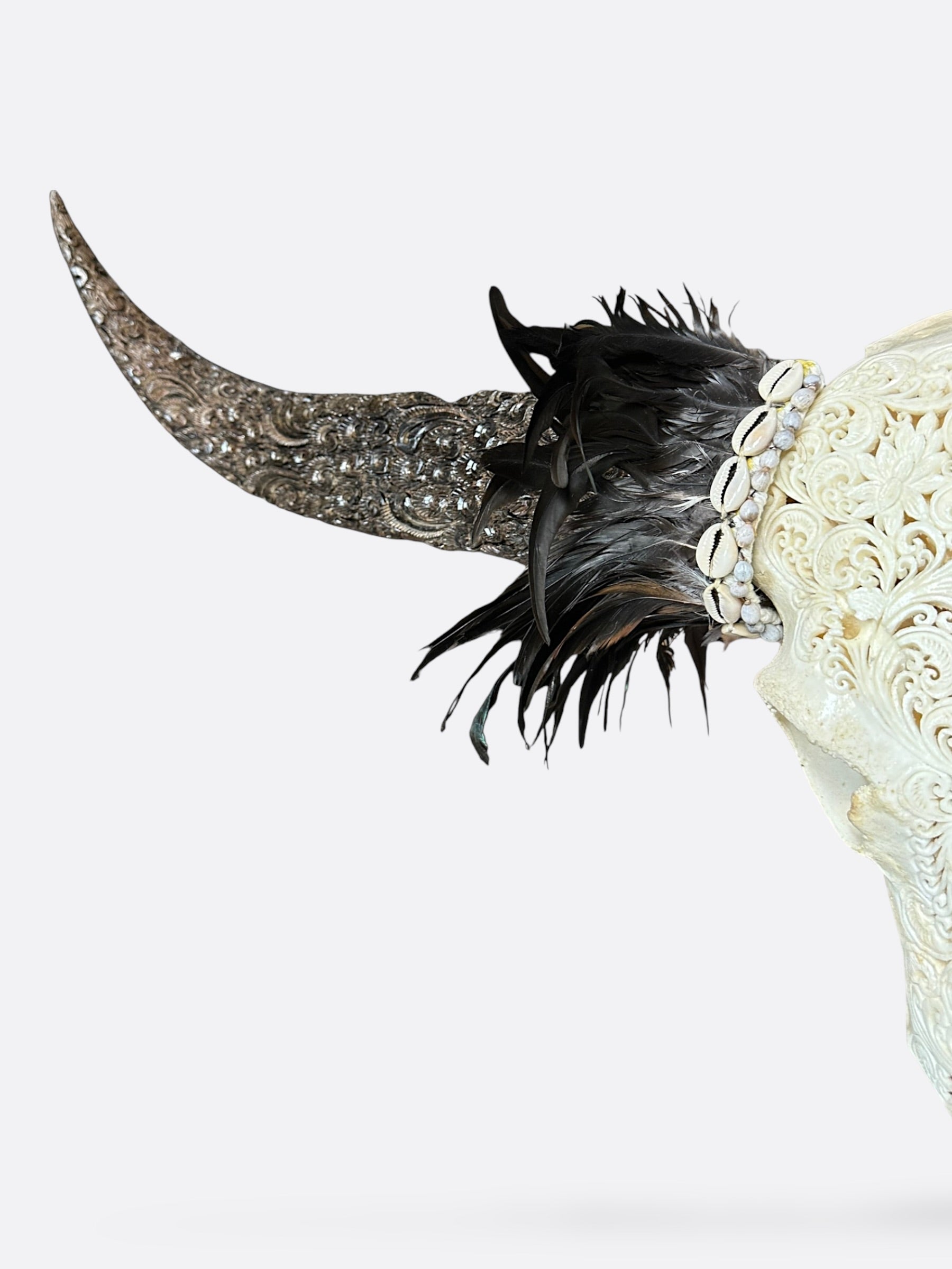 Crâne de buffle sculpté XL - Symphonie