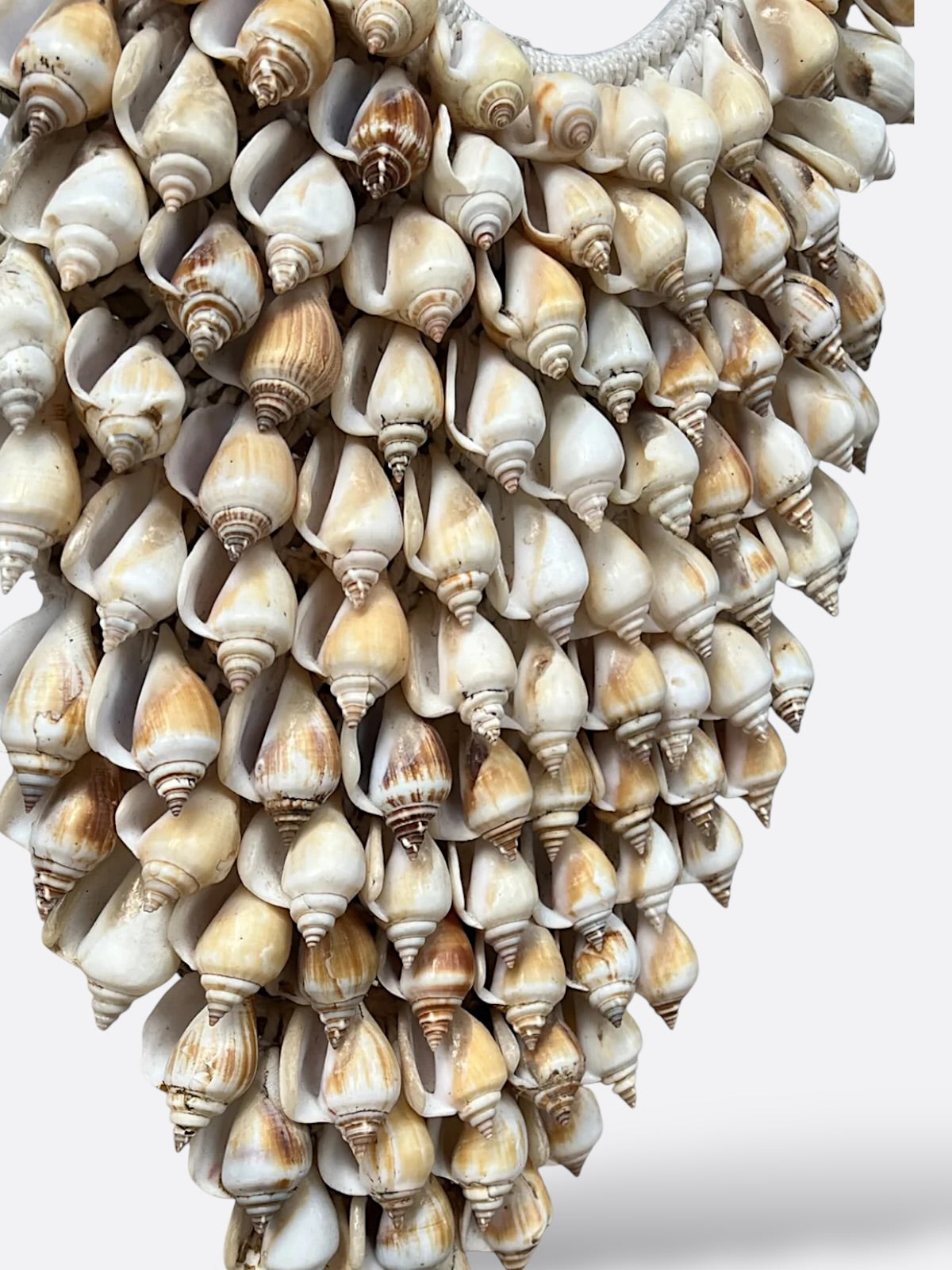 Collier en coquillages cônes snails marins sur socle métal – Made