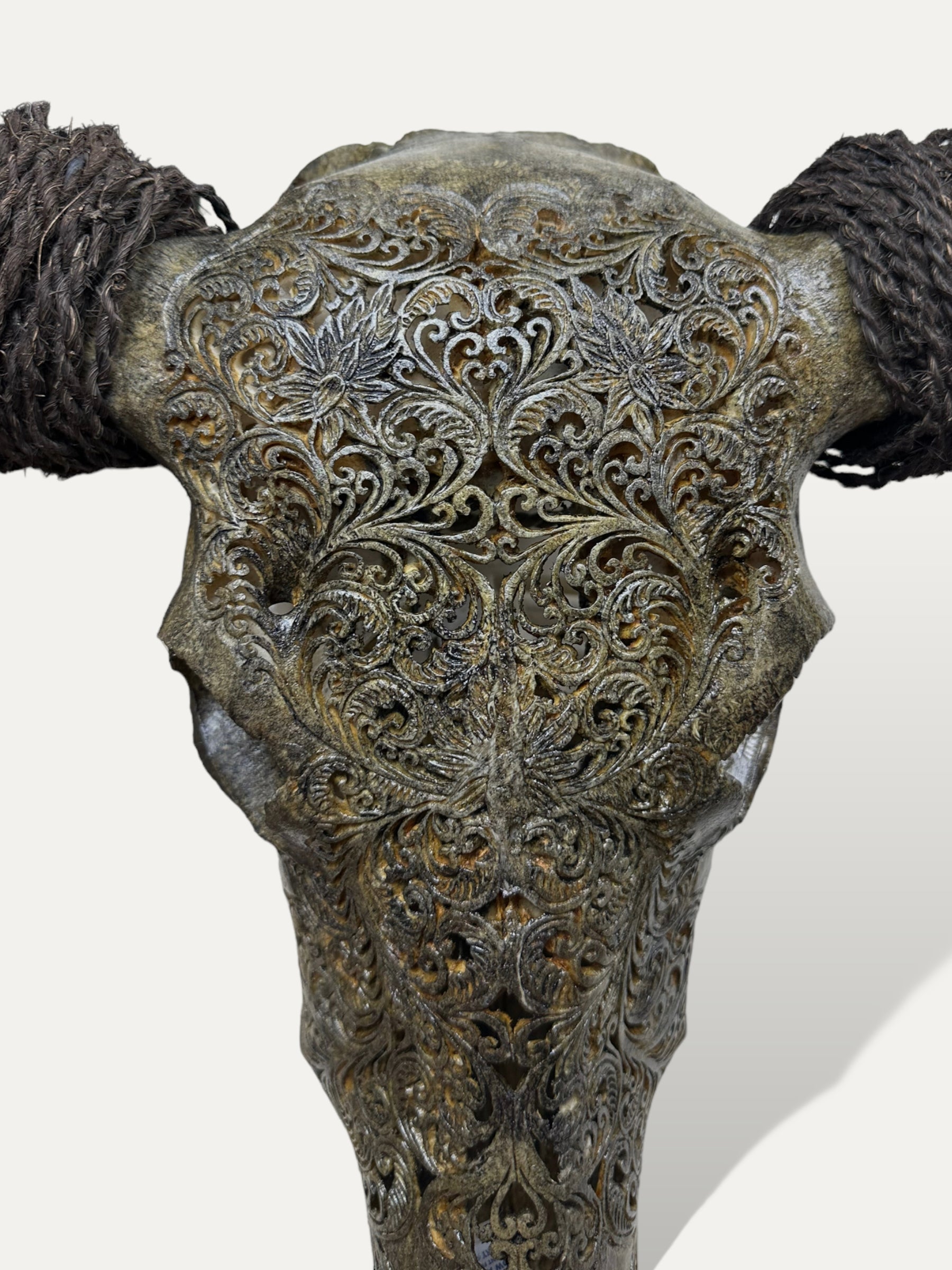 COKOHA Crâne de buffle sculpté - Anjani