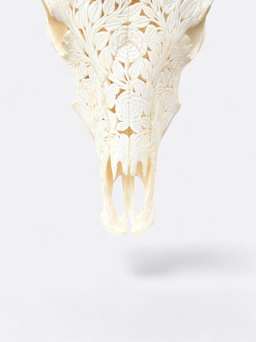 Crâne de vache artisanal sculpté – Sapi