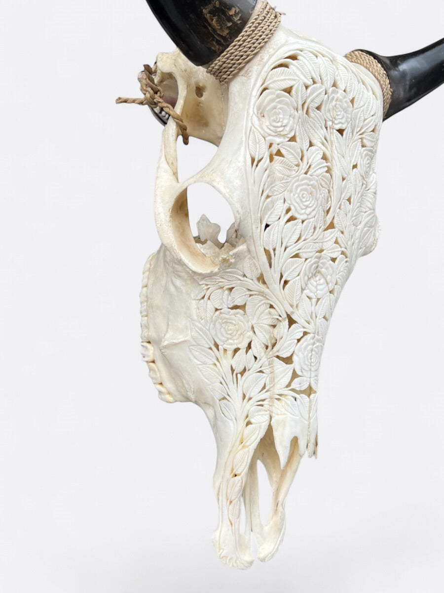 Crâne de vache artisanal sculpté – Sapi
