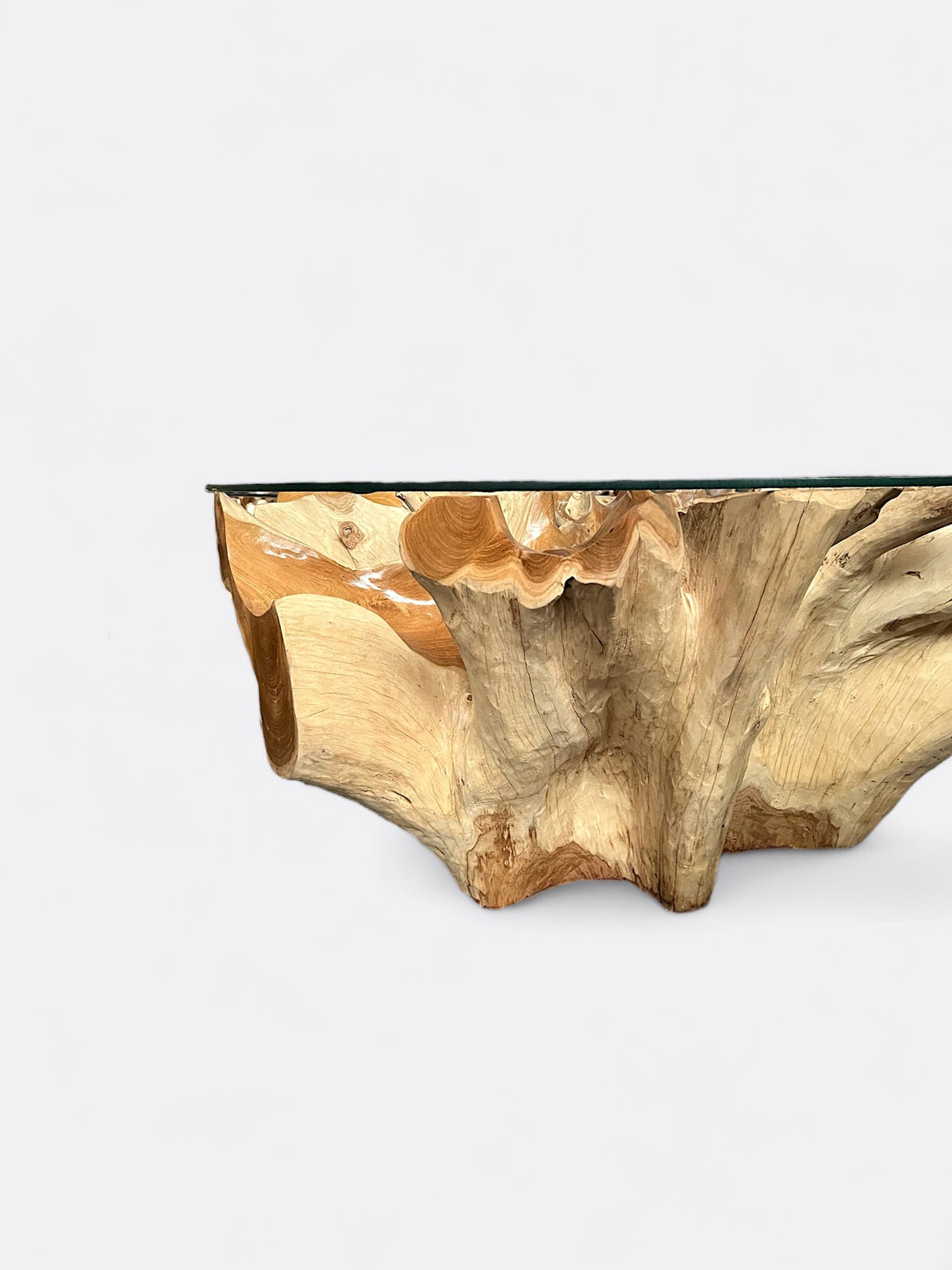 Table basse ronde en teck - détail des racines sculptées